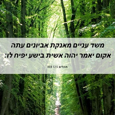Picture 06 - תהלים 12:5 HEB - משד עניים מאנקת אביונים - Bible Verse Picture