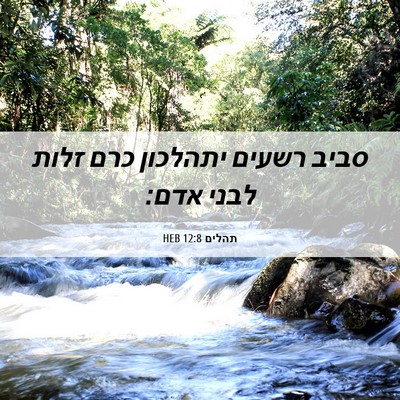 Picture 06 - תהלים 12:8 HEB - סביב רשעים יתהלכון כרם - Bible Verse Picture