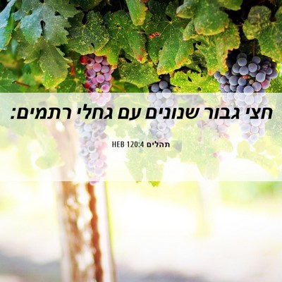 Picture 06 - תהלים 120:4 HEB - חצי גבור שנונים עם גחלי - Bible Verse Picture