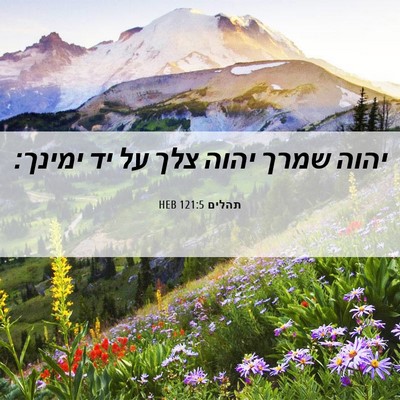 Picture 06 - תהלים 121:5 HEB - יהוה שמרך יהוה צלך על יד - Bible Verse Picture
