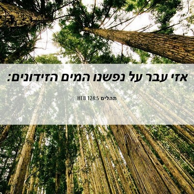 Picture 06 - תהלים 124:5 HEB - אזי עבר על נפשנו המים - Bible Verse Picture