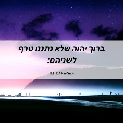 Picture 06 - תהלים 124:6 HEB - ברוך יהוה שלא נתננו טרף - Bible Verse Picture