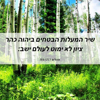Picture 06 - תהלים 125:1 HEB - שיר המעלות הבטחים ביהוה - Bible Verse Picture