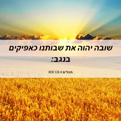 Picture 06 - תהלים 126:4 HEB - שובה יהוה את שבותנו - Bible Verse Picture
