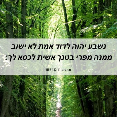 Picture 06 - תהלים 132:11 HEB - נשבע יהוה לדוד אמת לא ישוב - Bible Verse Picture