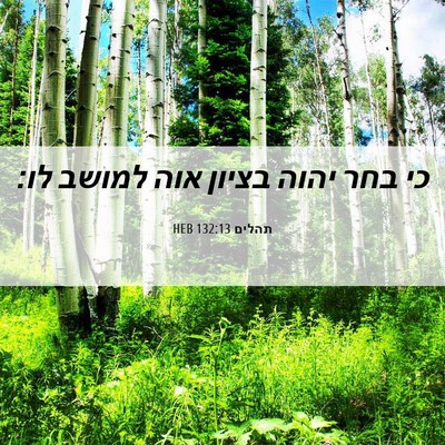Picture 06 - תהלים 132:13 HEB - כי בחר יהוה בציון אוה למושב - Bible Verse Picture