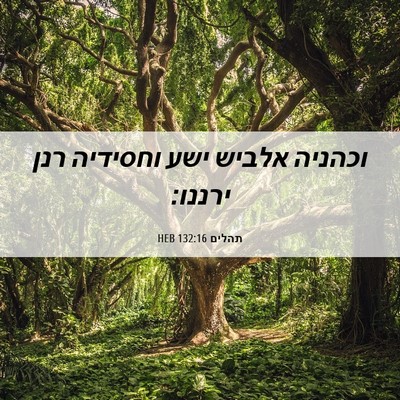 Picture 06 - תהלים 132:16 HEB - וכהניה אלביש ישע וחסידיה - Bible Verse Picture