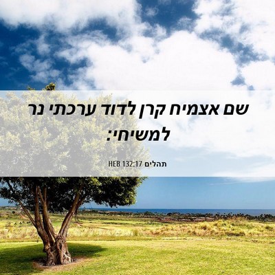 Picture 06 - תהלים 132:17 HEB - שם אצמיח קרן לדוד ערכתי נר - Bible Verse Picture