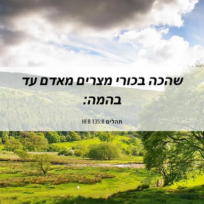 Picture 06 - תהלים 135:8 HEB - שהכה בכורי מצרים מאדם עד - Bible Verse Picture