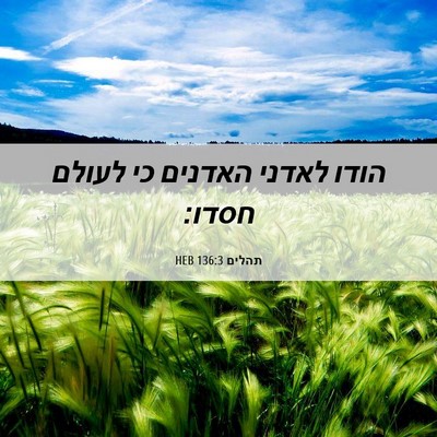 Picture 06 - תהלים 136:3 HEB - הודו לאדני האדנים כי לעולם - Bible Verse Picture