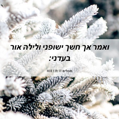 Picture 06 - תהלים 139:11 HEB - ואמר אך חשך ישופני ולילה - Bible Verse Picture
