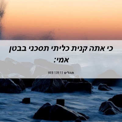 Picture 06 - תהלים 139:13 HEB - כי אתה קנית כליתי תסכני - Bible Verse Picture