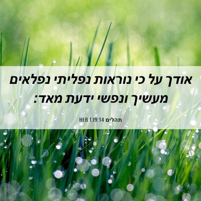 Picture 06 - תהלים 139:14 HEB - אודך על כי נוראות נפליתי - Bible Verse Picture