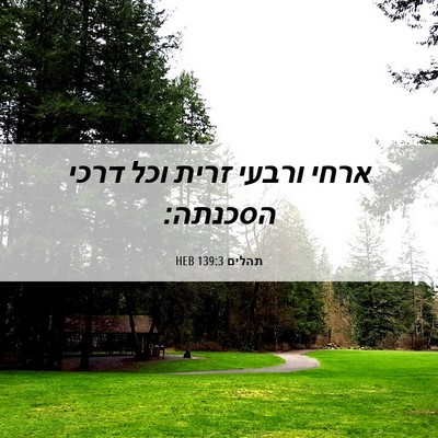Picture 06 - תהלים 139:3 HEB - ארחי ורבעי זרית וכל דרכי - Bible Verse Picture