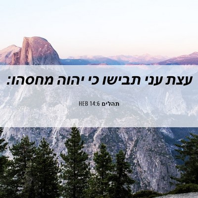 Picture 06 - תהלים 14:6 HEB - עצת עני תבישו כי יהוה - Bible Verse Picture