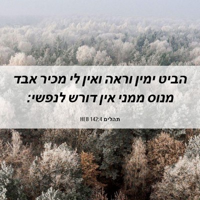 Picture 06 - תהלים 142:4 HEB - הביט ימין וראה ואין לי מכיר - Bible Verse Picture