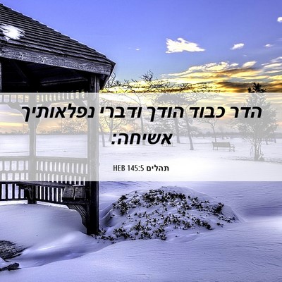 Picture 06 - תהלים 145:5 HEB - הדר כבוד הודך ודברי - Bible Verse Picture
