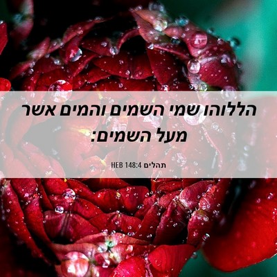 Picture 06 - תהלים 148:4 HEB - הללוהו שמי השמים והמים אשר - Bible Verse Picture