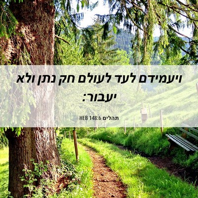 Picture 06 - תהלים 148:6 HEB - ויעמידם לעד לעולם חק נתן - Bible Verse Picture