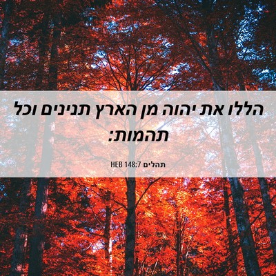 Picture 06 - תהלים 148:7 HEB - הללו את יהוה מן הארץ תנינים - Bible Verse Picture