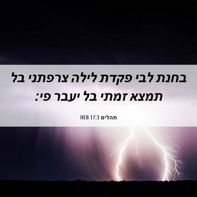 Picture 06 - תהלים 17:3 HEB - בחנת לבי פקדת לילה צרפתני - Bible Verse Picture