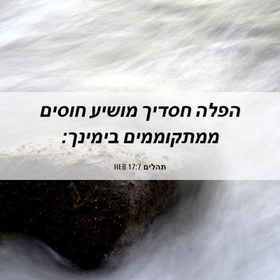 Picture 06 - תהלים 17:7 HEB - הפלה חסדיך מושיע חוסים - Bible Verse Picture