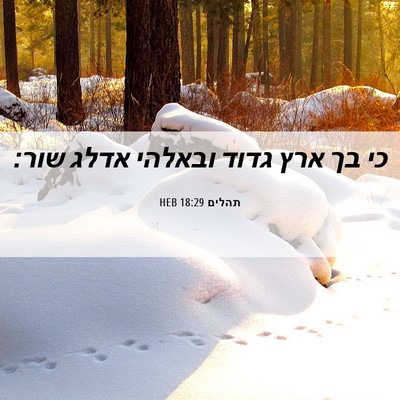 Picture 06 - תהלים 18:29 HEB - כי בך ארץ גדוד ובאלהי אדלג - Bible Verse Picture