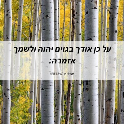 Picture 06 - תהלים 18:49 HEB - על כן אודך בגוים יהוה ולשמך - Bible Verse Picture