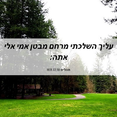 Picture 06 - תהלים 22:10 HEB - עליך השלכתי מרחם מבטן אמי - Bible Verse Picture