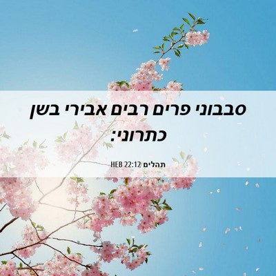 Picture 06 - תהלים 22:12 HEB - סבבוני פרים רבים אבירי בשן - Bible Verse Picture
