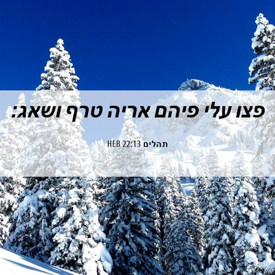 Picture 06 - תהלים 22:13 HEB - פצו עלי פיהם אריה טרף - Bible Verse Picture
