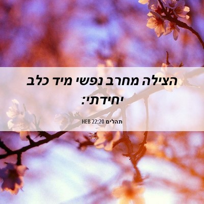 Picture 06 - תהלים 22:20 HEB - הצילה מחרב נפשי מיד כלב - Bible Verse Picture