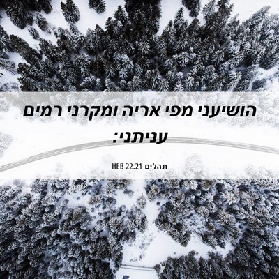 Picture 06 - תהלים 22:21 HEB - הושיעני מפי אריה ומקרני - Bible Verse Picture