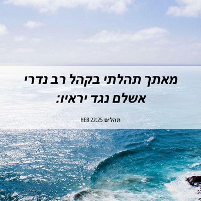 Picture 06 - תהלים 22:25 HEB - מאתך תהלתי בקהל רב נדרי - Bible Verse Picture
