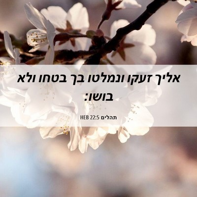 Picture 06 - תהלים 22:5 HEB - אליך זעקו ונמלטו בך בטחו - Bible Verse Picture
