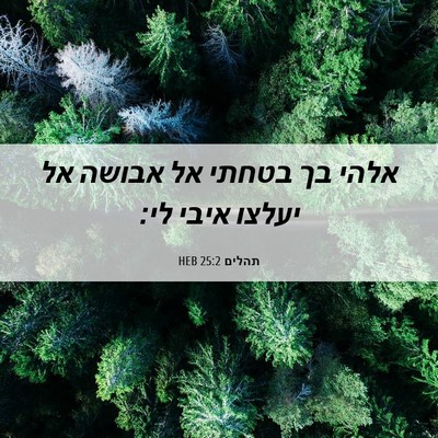 Picture 06 - תהלים 25:2 HEB - אלהי בך בטחתי אל אבושה אל - Bible Verse Picture