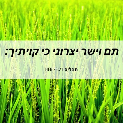 Picture 06 - תהלים 25:21 HEB - תם וישר יצרוני כי - Bible Verse Picture