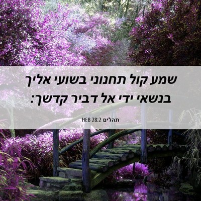 Picture 06 - תהלים 28:2 HEB - שמע קול תחנוני בשועי אליך - Bible Verse Picture