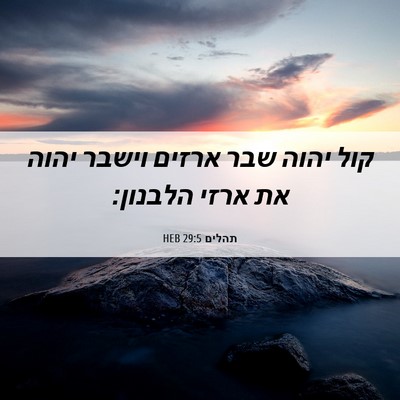 Picture 06 - תהלים 29:5 HEB - קול יהוה שבר ארזים וישבר - Bible Verse Picture