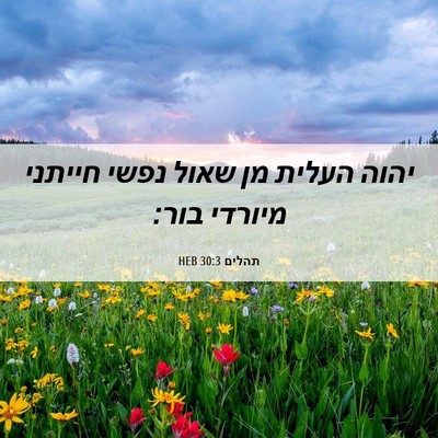Picture 06 - תהלים 30:3 HEB - יהוה העלית מן שאול נפשי - Bible Verse Picture
