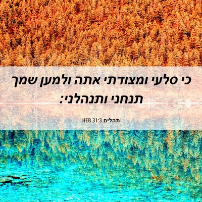 Picture 06 - תהלים 31:3 HEB - כי סלעי ומצודתי אתה ולמען - Bible Verse Picture