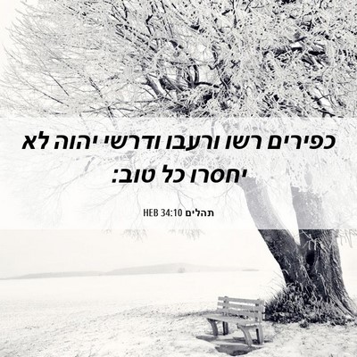 Picture 06 - תהלים 34:10 HEB - כפירים רשו ורעבו ודרשי - Bible Verse Picture