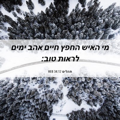 Picture 06 - תהלים 34:12 HEB - מי האיש החפץ חיים אהב ימים - Bible Verse Picture