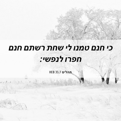 Picture 06 - תהלים 35:7 HEB - כי חנם טמנו לי שחת רשתם חנם - Bible Verse Picture