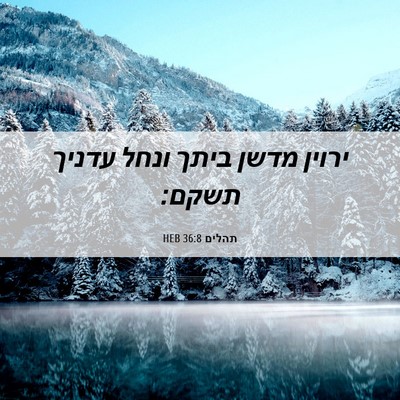 Picture 06 - תהלים 36:8 HEB - ירוין מדשן ביתך ונחל עדניך - Bible Verse Picture
