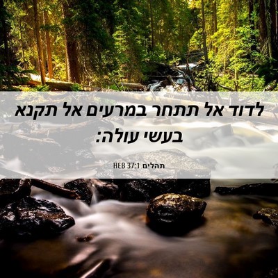 Picture 06 - תהלים 37:1 HEB - לדוד אל תתחר במרעים אל תקנא - Bible Verse Picture