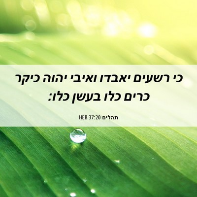 Picture 06 - תהלים 37:20 HEB - כי רשעים יאבדו ואיבי יהוה - Bible Verse Picture