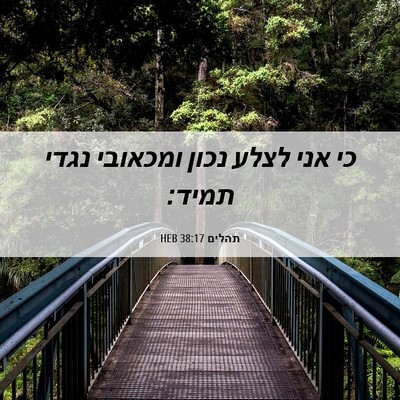Picture 06 - תהלים 38:17 HEB - כי אני לצלע נכון ומכאובי - Bible Verse Picture