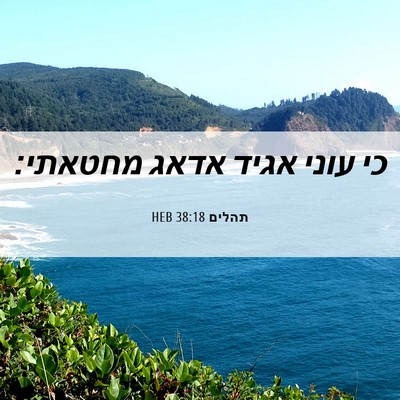Picture 06 - תהלים 38:18 HEB - כי עוני אגיד אדאג - Bible Verse Picture