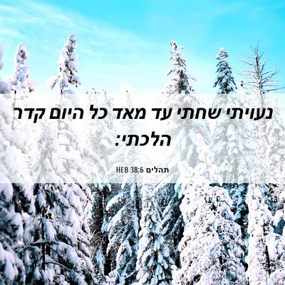 Picture 06 - תהלים 38:6 HEB - נעויתי שחתי עד מאד כל היום - Bible Verse Picture